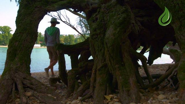 Bratislava - mesto uprostred prírody (Bratislava - a city surrounded by nature), 52', 2016y смотреть онлайн