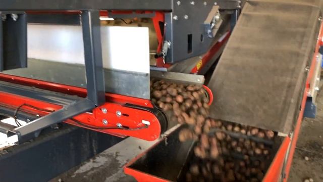 Dewulf Miedema Mh241 Combi Potato Sorter