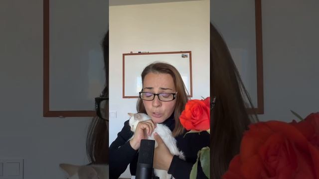 4. Питомник. Начало. Как я ушла в минус и дала себе слово больше так не делать. смотреть онлайн