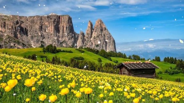 Самая красивая мелодия на свете! Эту музыку можно слушать вечно! красивая музыка Сергей Грищук #70