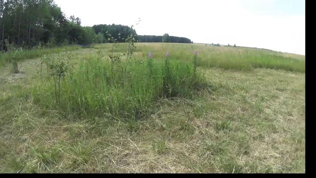 Тест металлоискателя МД 4080 ! смотреть онлайн