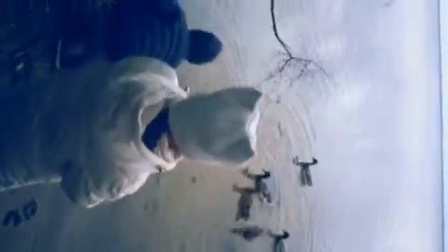 Карповское водохранилище смотреть онлайн