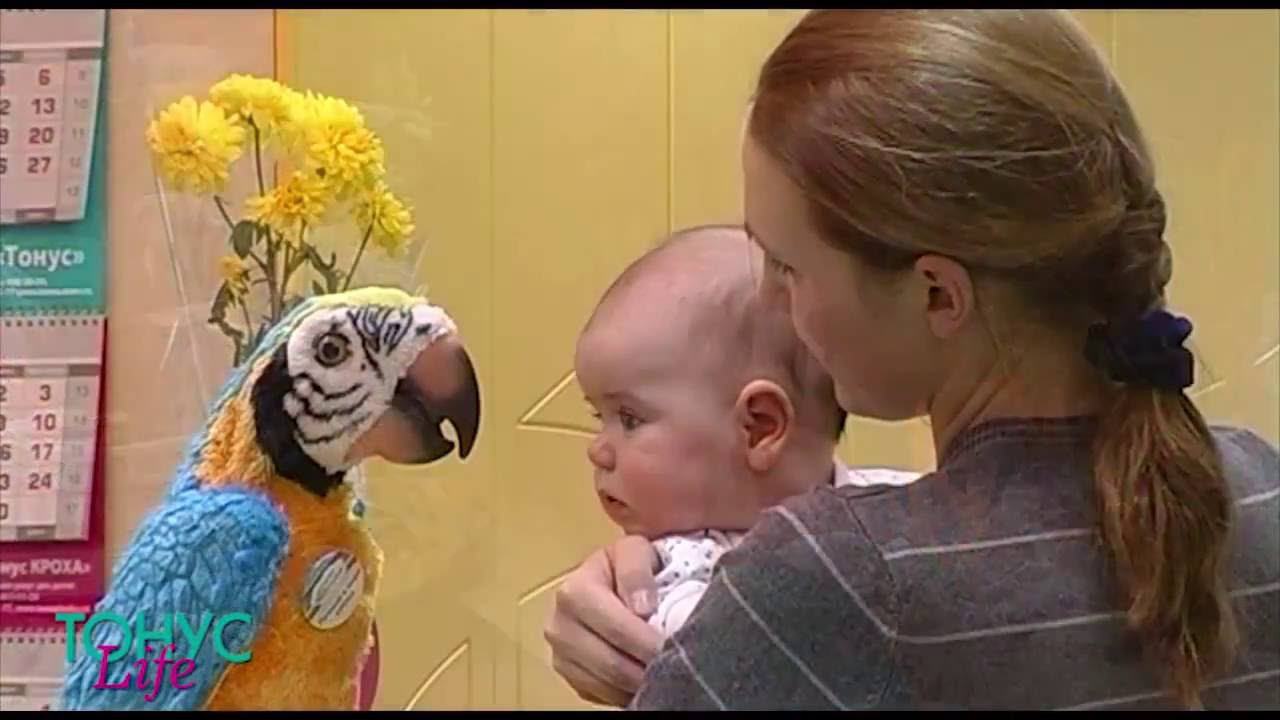 Патронаж. Педиатрические центры "Тонус КРОХА" смотреть онлайн