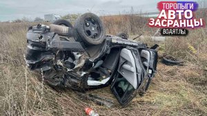 Дорожные Выкрутасы Торопыг и Водятлов! Осенний Сезон