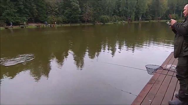Форель ловится на активные снасти. Клёвое место, Лосиный остров, верхний водоём. смотреть онлайн