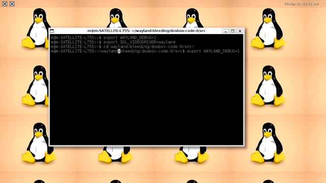 Dosbox r3820 svn under wayland + SDL 2 смотреть онлайн