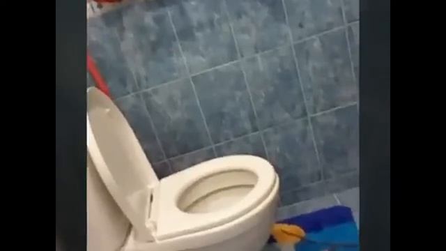 Вот где и как раньше Васька видео снимал то смотреть онлайн