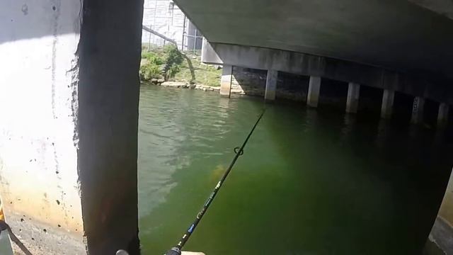 ловля басса смотреть онлайн