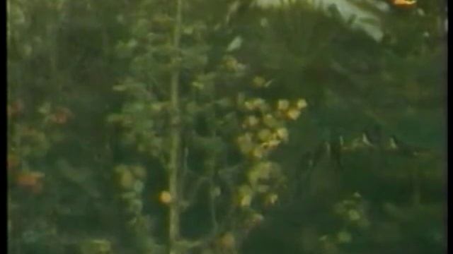В. Васнецов «Аленушка» смотреть онлайн