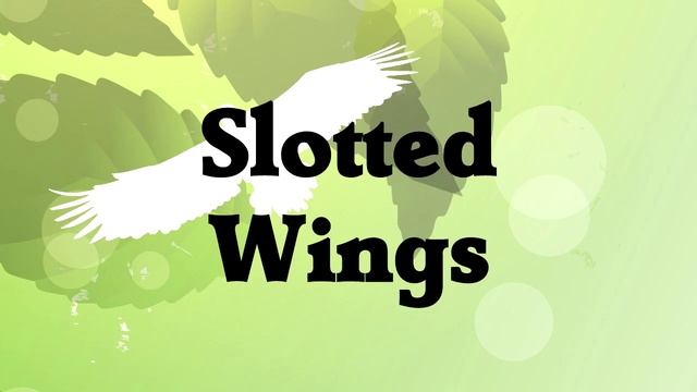 Bird Wing Shapes - How Birds Fly смотреть онлайн