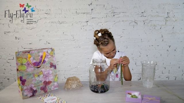 Ферма бабочек, обзор домашнего бабочкария Флай-Флай с настоящими живыми бабочками от Алисы смотреть онлайн