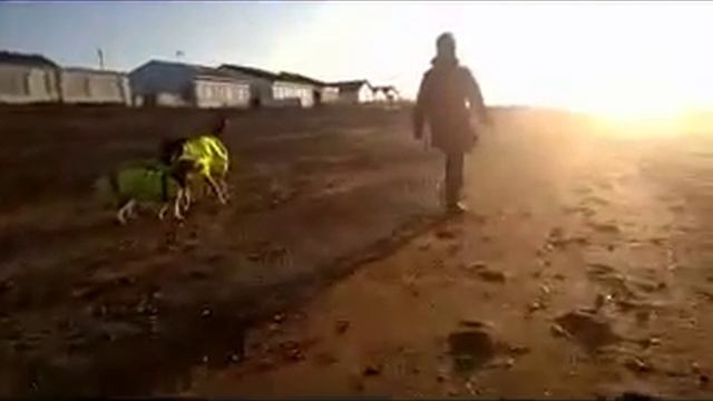 Смотреть Кипр Отдых С Детьми Отели - Кипр Где Отдохнуть С Ребенком смотреть онлайн