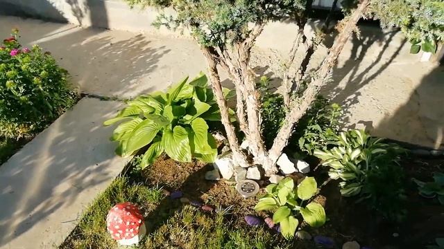 Тестирую фонарики для сада из фикс прайса. смотреть онлайн