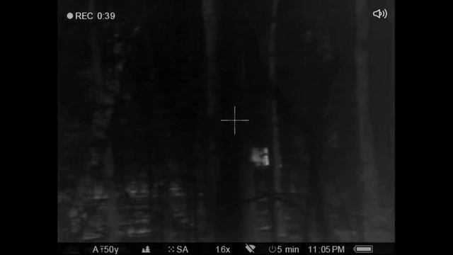 Hardwoods Hunt - Thermal Hog Hunting with Pulsar Trail & Helion optics смотреть онлайн