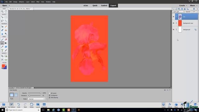 How to Use Blending Modes Using Layers in Photoshop Elements 2018 смотреть онлайн