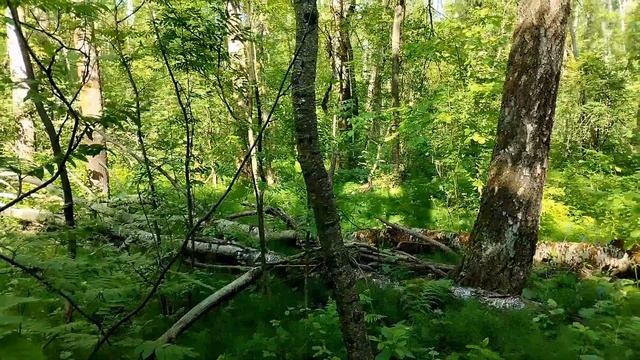 эндуро локация, Коломна смотреть онлайн