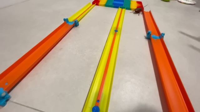 BATALHA ARANHA ROBÔ VS BARATA ROBÔ (ROBO ALIVE) смотреть онлайн