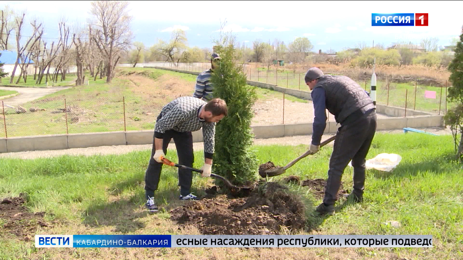 В 2024 году в КБР на 117-ти гектарах высадят новые леса