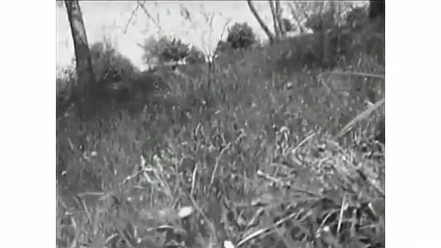 13 урок. Кроссовая подготовка. старшие классы смотреть онлайн