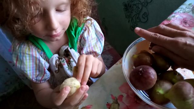 Вкусный инжир смотреть онлайн