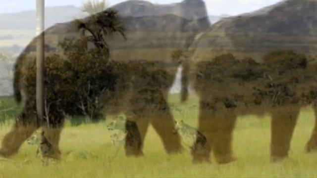 Ice Age Opening style Walking With Beasts смотреть онлайн