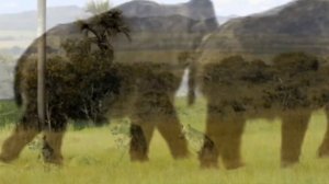 Ice Age Opening style Walking With Beasts