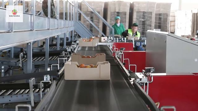 Калиновка-Премиум смотреть онлайн