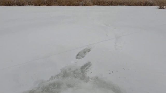 РЫБАЛКА НА ЖЕРЛИЦЫ И ЛОВИМ ЖИВЦА смотреть онлайн