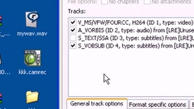 Converting special mkv files into avi смотреть онлайн