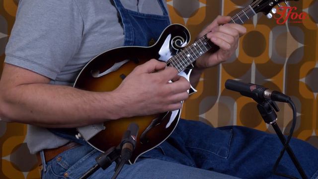 Gibson F5G Mandolin Dark Burst played by Erwin van de Ven | Demo @ The Fellowship of Acoustics смотреть онлайн