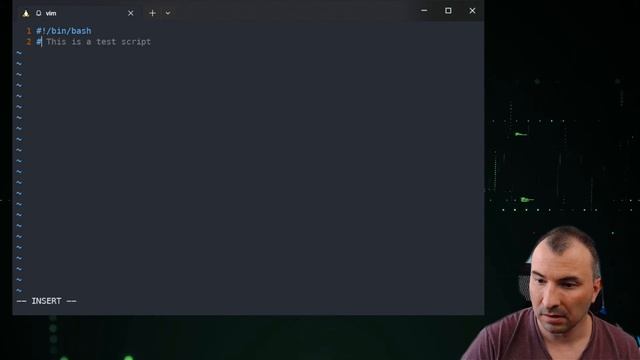How to use copilot in vim смотреть онлайн