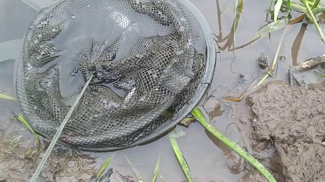 история нашей рыбалки!! смотреть онлайн