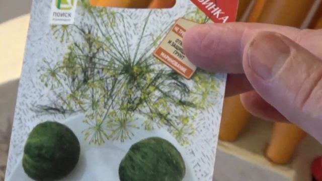 Огурцы для грунта и для подоконника Обзор сортов. смотреть онлайн