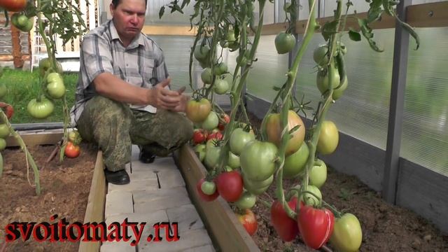 Гигант Подмосковья смотреть онлайн