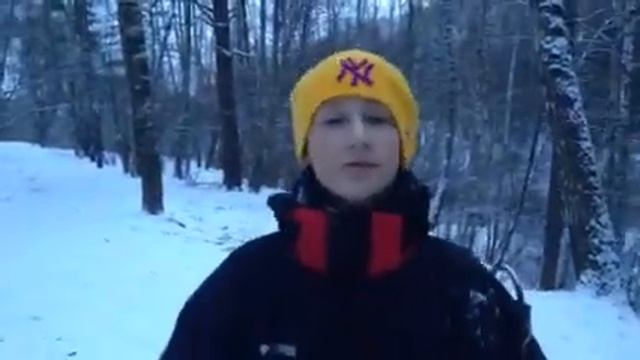 Зимнее утро Пушкин А.С. смотреть онлайн