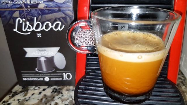 Kaffa Lisboa coffee capsules on a Nespresso Delonghi Essenza Mini machine. 4K UHD смотреть онлайн
