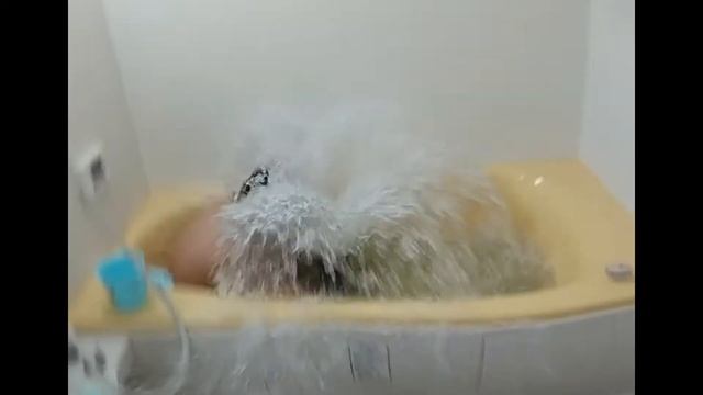 LEFEET S1 子どもが使うとこうなる、、、（20210630） смотреть онлайн
