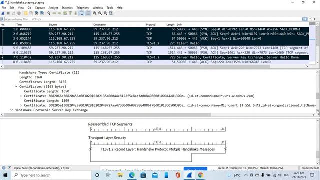TLS Handshake Packets in Wireshark смотреть онлайн