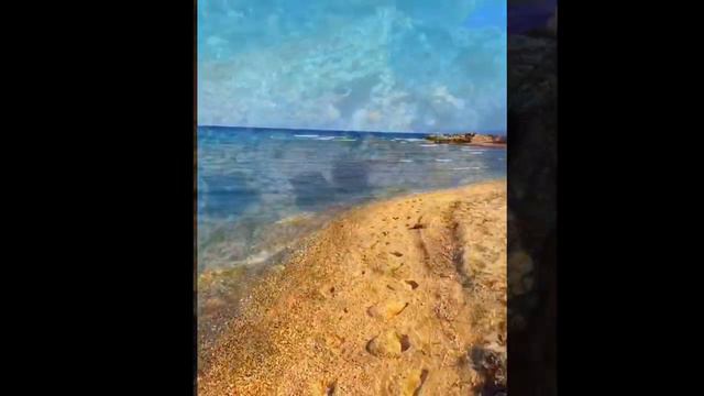 Наш случайный отпуск в Греции Халкидики , солнце , море , пляж . Крабы и морские ежи , осьминог , смотреть онлайн