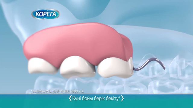 Corega COMBO Fixatives KZ смотреть онлайн