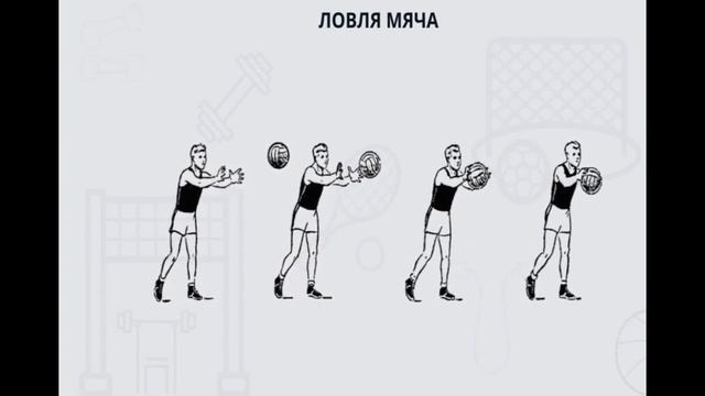 Физическая культура: Способы передачи мяча смотреть онлайн