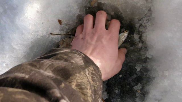 запуск мальков на озеро Купальное.часть 3 смотреть онлайн