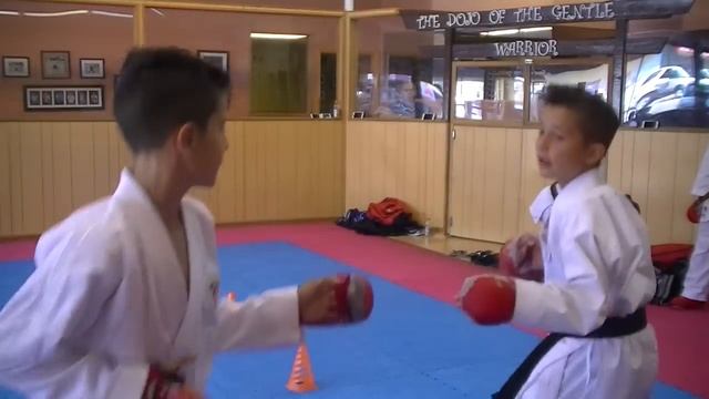 Karate drills for kihon kumite смотреть онлайн