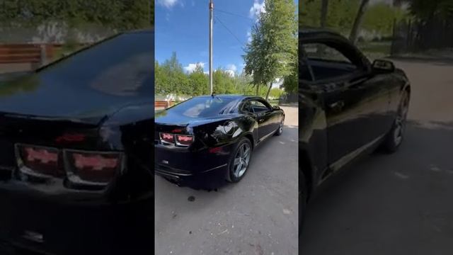 #шевроле #камаро #chevroletcamaro #продажа #выкупавто #автомобили #спорткар #бамбелби #автоспробего смотреть онлайн