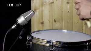 Neumann TLM 102 vs TLM 103