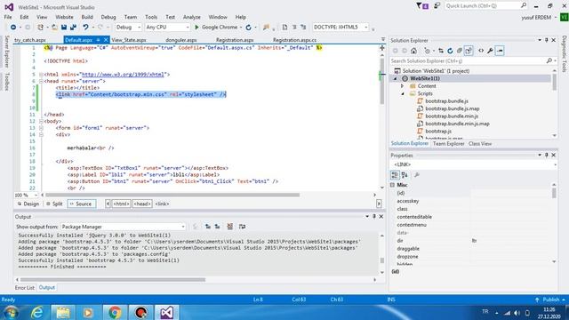 implement bootstrap theme to asp.net website (asp.net website sine bootstrap teması ekleme) смотреть онлайн