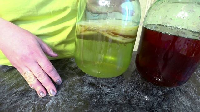 Расскажу за 1 минуту: чайный гриб на дне. Что делать? смотреть онлайн