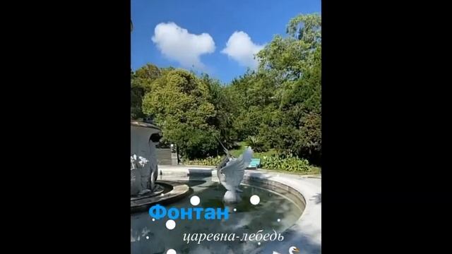 Александр Энберт в Сочинском дендрарии. смотреть онлайн