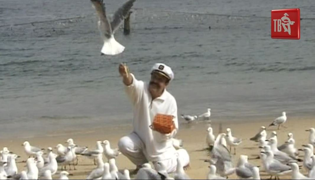 Анатолий ПОЛОТНО и Федя КАРМАНОВ - ПАМЯТИ Вилли ТОКАРЕВА смотреть онлайн