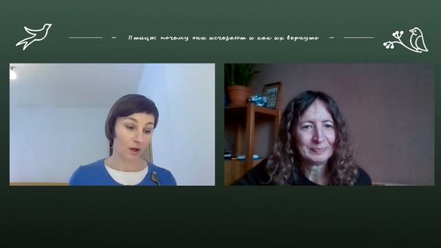 Птицы: почему они исчезают и как их вернуть смотреть онлайн